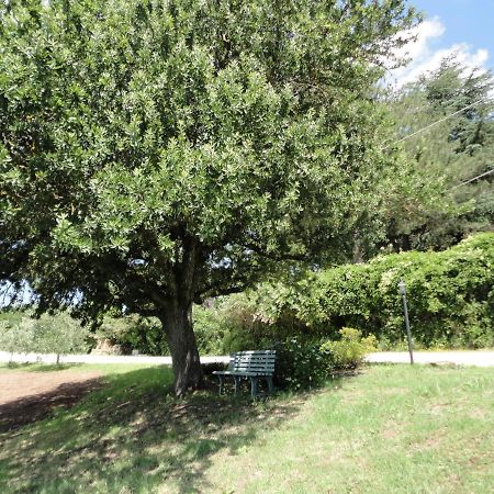 Grazioso appartamento in villa Bracciano  Esterno foto