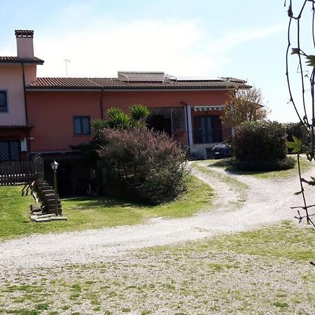 Grazioso appartamento in villa Bracciano  Esterno foto